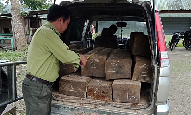 Bị phát hiện chở gỗ lậu, tài xế bỏ xe và gỗ thoát thân