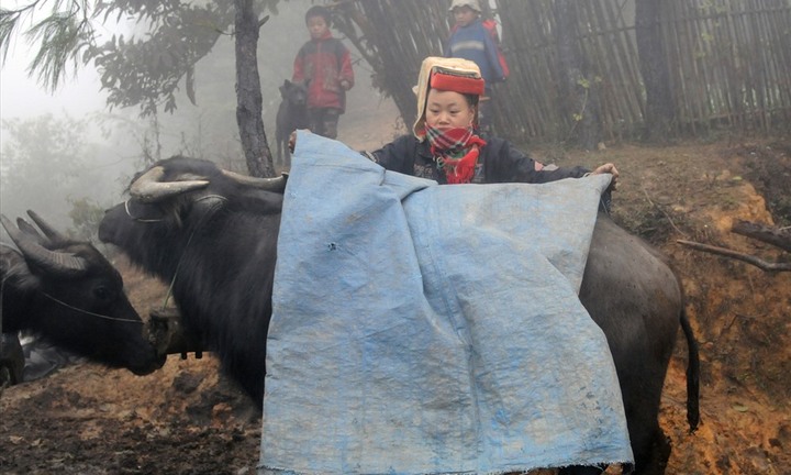 Tin tức thời sự 24h mới nhất ngày 29/1/2018