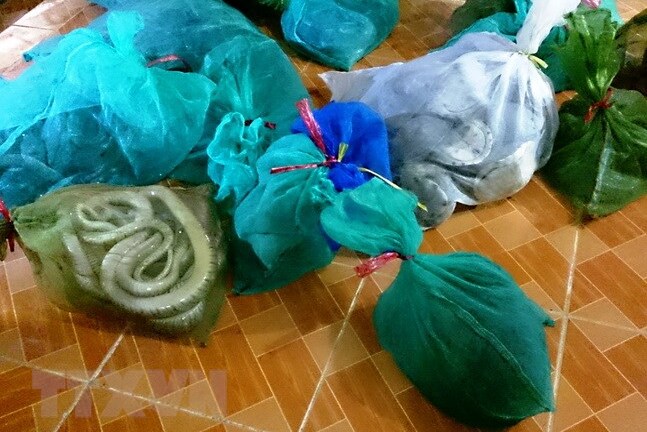 Bình Phước: Bắt giữ vụ vận chuyển động vật hoang dã với số lượng lớn