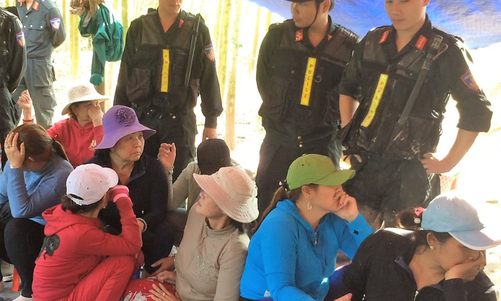 Cảnh sát nổ súng phá sới xóc đĩa trong rừng keo