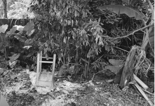 Bữa cơm tất niên lúc... rạng sáng