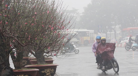 Dự báo thời tiết ngày 10/2: Giảm 6 độ C, miền Bắc lại rét đậm kèm mưa