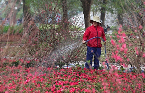 Dự báo thời tiết ngày 12/2: Miền Bắc rét 11 độ, Nam Bộ nắng ấm ngày 27 Tết