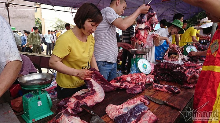 Vĩnh Phúc: Trâu chọi bị xẻ thịt đem bán, trưởng ban tổ chức nói gì?