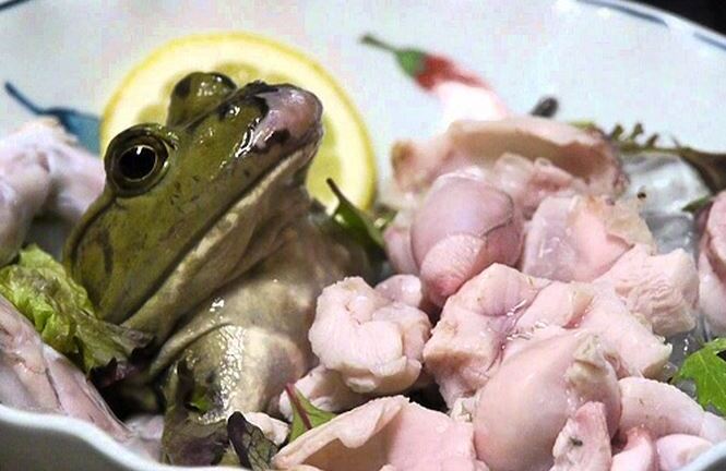 Sán bò trong ngực chỉ vì ăn…ếch sống