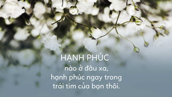 Hãy làm những việc này để hạnh phúc, tự tại
