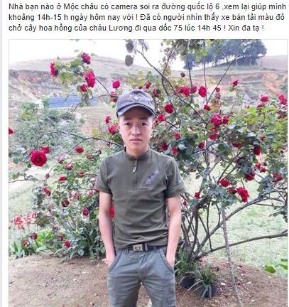 Cây hồng cổ giá 30 triệu bị đánh cắp, khổ chủ xót xa