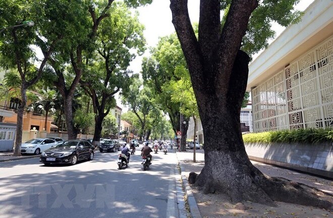 Dự báo thời tiết ngày 22/3: Miền Bắc rét sáng sớm, Nam Bộ nắng nóng 34 độ