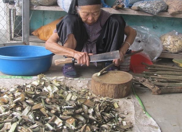 Bài thuốc phòng the huyền thoại của người Cao Lan (Kỳ 2): Bí mật kỳ dược trên núi Na Hang