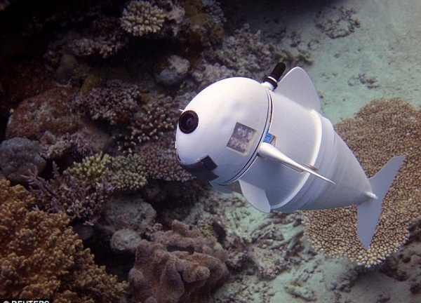 Chú cá robot có thể bơi ở độ sâu 15m mà không bị phát hiện 