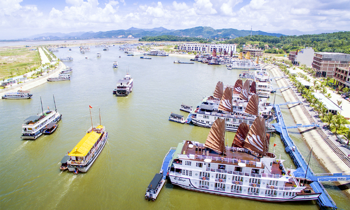 Để phương tiện khác đeo bám khách du lịch, 3 tàu trên vịnh Hạ Long bị đình chỉ