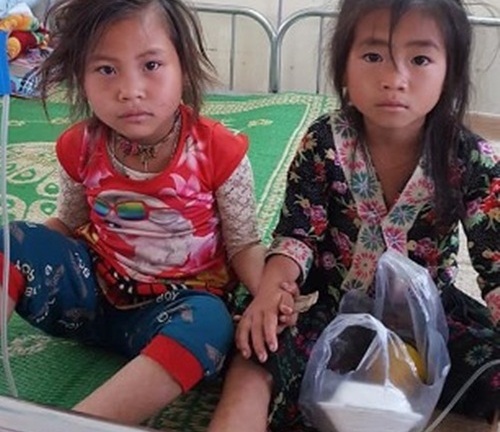 Hai bé gái ăn nhầm lá ngón nhập viện cấp cứu