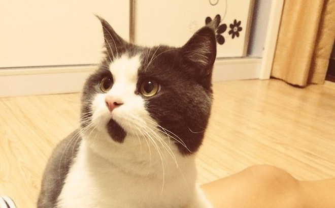 Nhật ký vợ trẻ sống chung nhà với “con giáp thứ 13”: