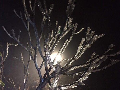 Tin tức thời sự 24h mới nhất ngày 7/4/2018