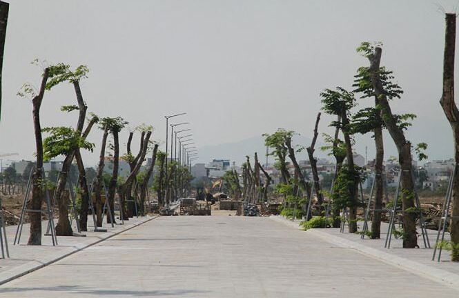 Thuê tư vấn độc lập kiểm định lại giá “đất vàng” ở sân bay Nha Trang