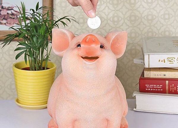 Chú 'lợn ăn tiền' bụ bẫm đáng yêu gây sốt, chị em xếp hàng chờ mua