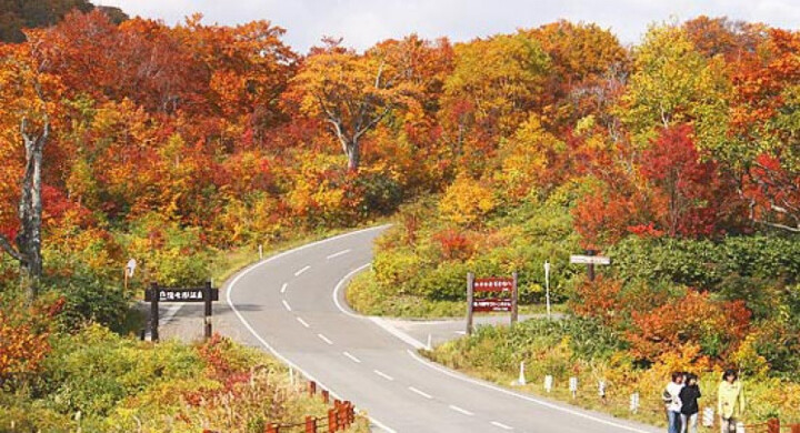 Du khách rời Nhật Bản sẽ phải trả 1.000 yen “phí chia tay”