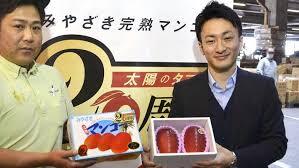 Cặp xoài Nhật giá