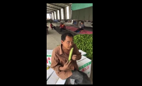 Cách để bạn ăn dưa chuột theo cách 