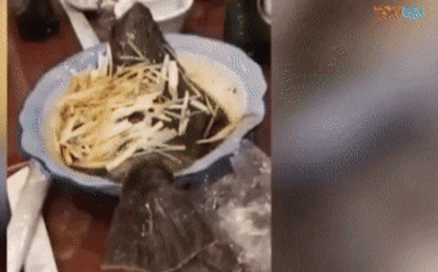 Cá nhảy khỏi đĩa dù đã… nấu chín