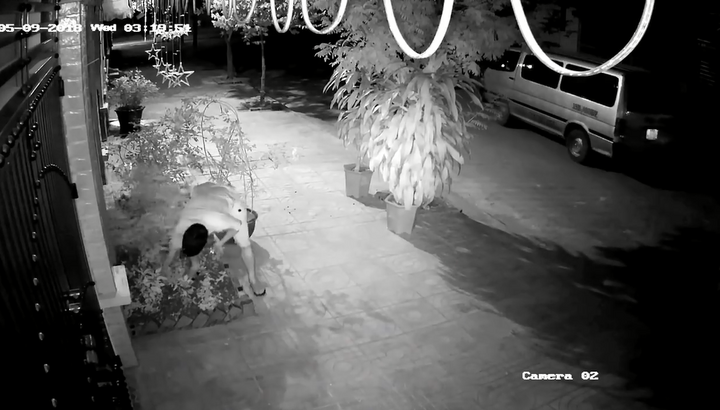 Video: 2 thanh niên đánh ô tô đi trộm... hoa hồng cổ
