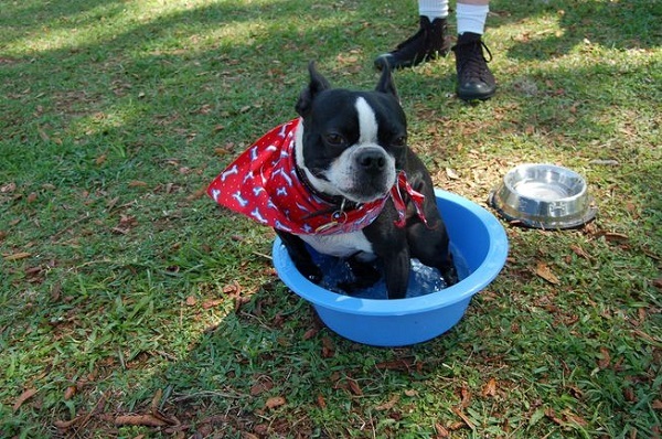 Vòng quanh thế giới học 5 cách chống nóng tự nhiên không cần điều hòa