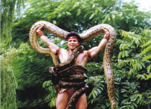 AFA khuyến nghị dừng biểu diễn xiếc thú hoang dã: Liên đoàn Xiếc VN nói gì?