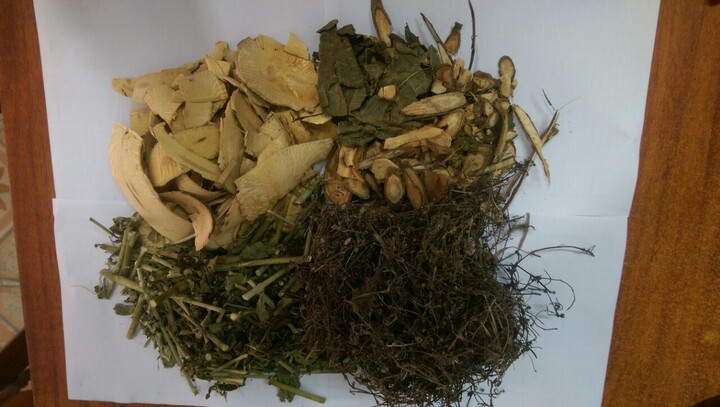 Xôn xao cây thuốc nam chữa khỏi ung thư máu