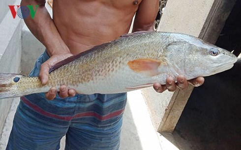 Tin tức thời sự 24h mới nhất ngày 1/6/2018