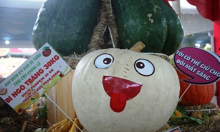 Mắt tròn mắt dẹt với những củ, quả 