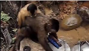 “Chàng khờ” một bước lên hương vẫn không phụ nghề bán vé số dạo