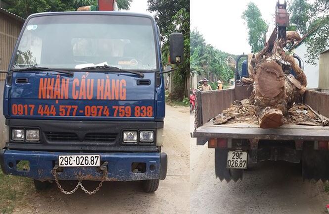 Thuê xe cẩu trộm cây mít trị giá 40 triệu đồng