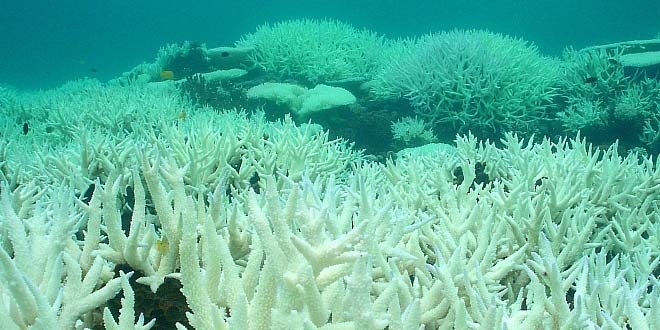 Việt Nam nằm trong danh sách các nước phải đối diện với bão lũ nguy hiểm