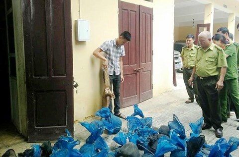 Thanh Hóa: Bắt giữ xe tải chở hơn 3 tạ tê tê sống