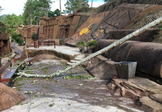 Đà Lạt: Cây đổ tại tụ điểm tham quan đè chết bé gái 9 tuổi