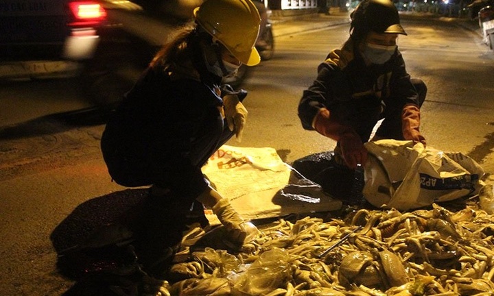 Hà Nội: Hàng trăm công nhân trắng đêm vớt cá chết ở hồ Tây