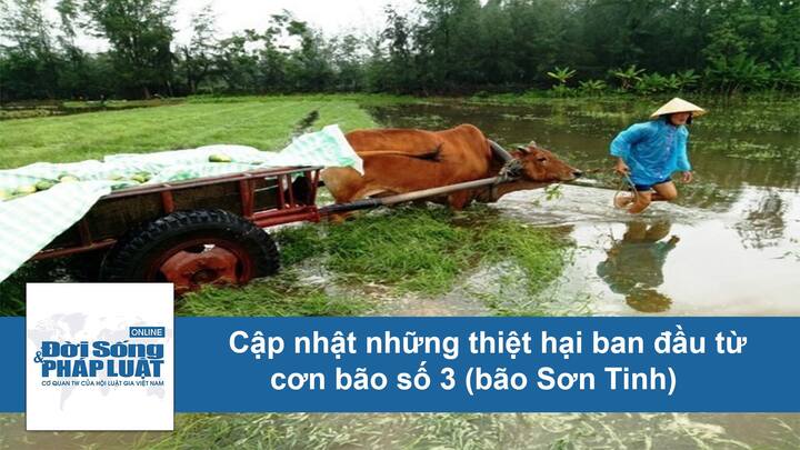 Xót xa trước những hình ảnh thiệt hại sau khi bão số 3 đổ bộ