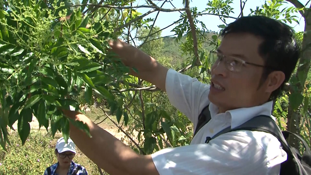 Ước vọng từ tiến sĩ Dược học để người Việt có lá gan khỏe mạnh