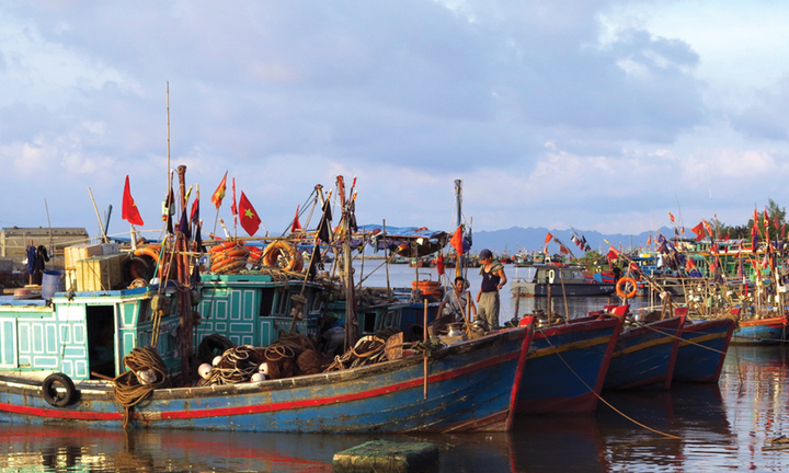 Giải cứu 12 lao động bị