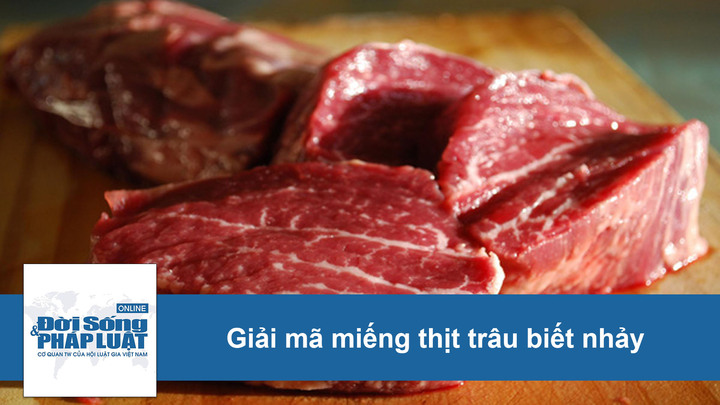 Giải mã miếng thịt trâu 
