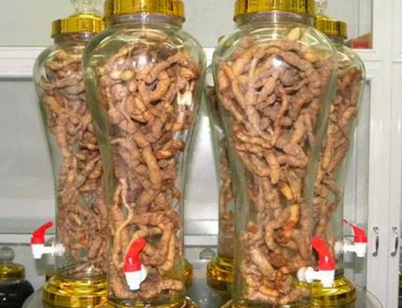 5 bài rượu bổ thận tráng dương có ba kích