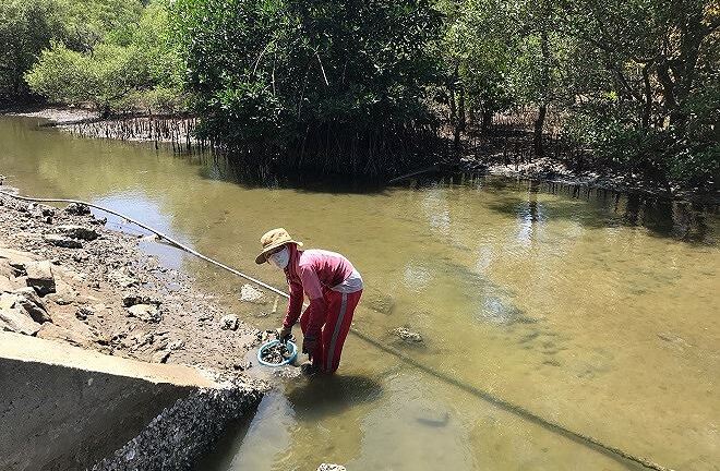 Chuyện đời của những góa phụ chờ chồng ở Bến Lỡ