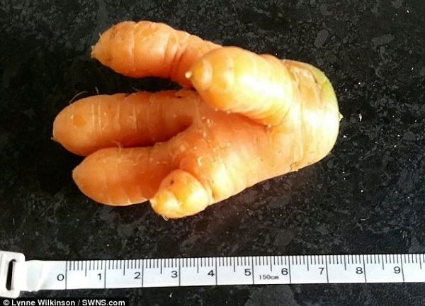 Củ cà rốt hình bàn tay khiến cộng đồng mạng kinh ngạc