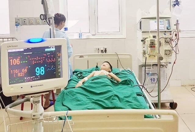 Cấp cứu bé trai 11 tuổi bị ong vò vẽ đốt hơn 100 vết