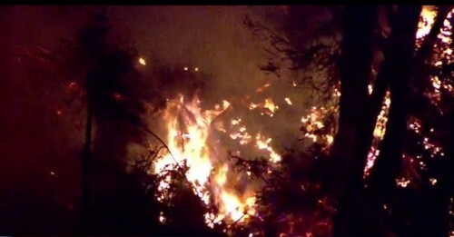 Cuộc sống hạnh phúc, đầy đủ của người đàn ông trộm máy bay rồi tự sát ở Mỹ