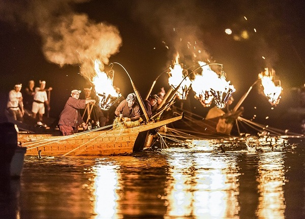 Cận cảnh phương pháp bắt cá đặc biệt tồn tại suốt 1.300 năm tại Nhật Bản