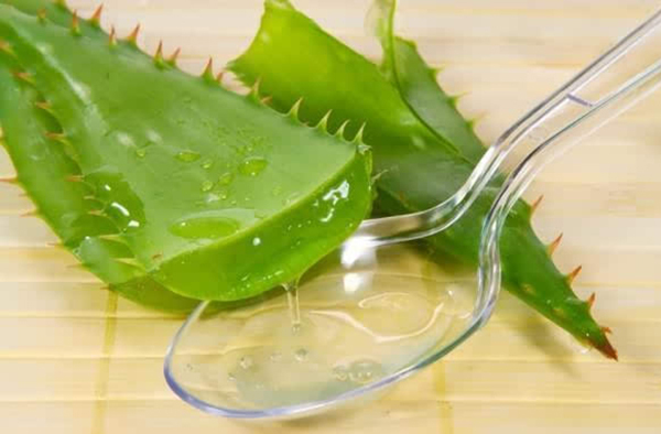 Các vị thuốc nhuận tràng thông tiện hiệu quả