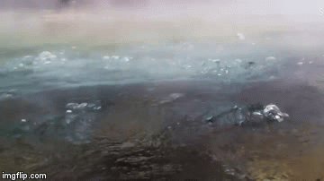 Bí ẩn Amazon (Kỳ 1):