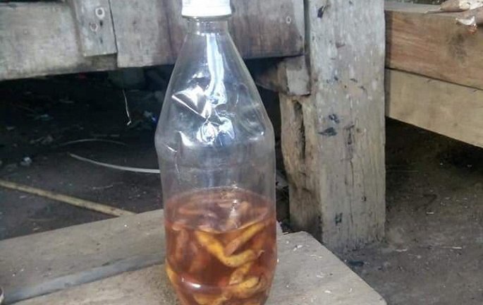 Uống rượu ngâm rễ cây, 2 người tử vong