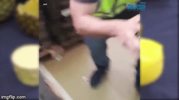 Video: Phát hiện 67kg ma túy giấu hết sức tinh vi trong thùng dứa bị cảnh sát Tây Ban Nha thu giữ